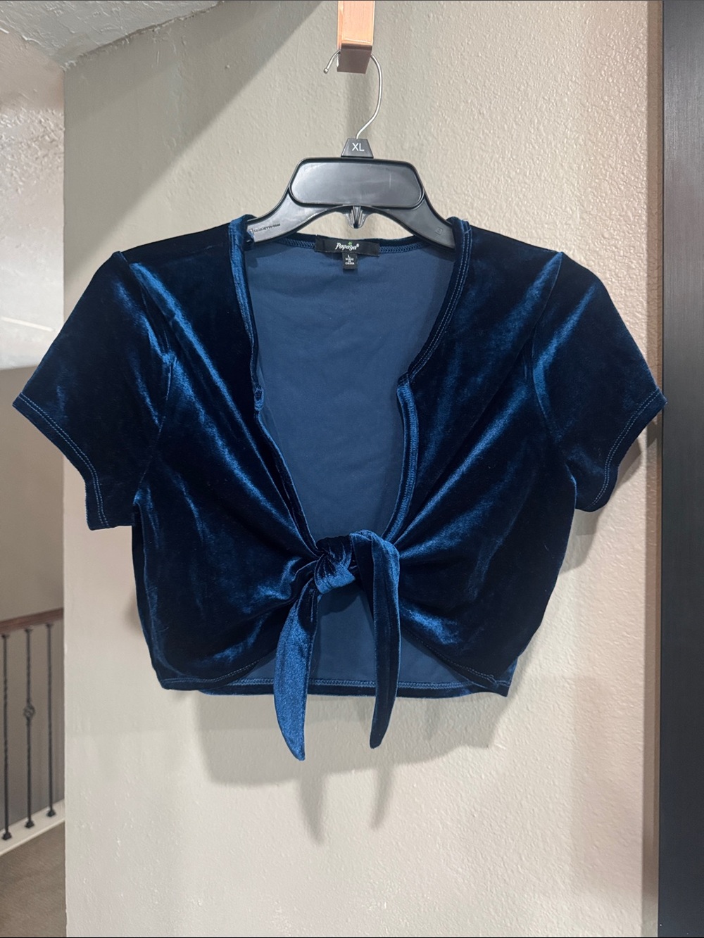 Blue Velvet Tie-Front Crop Top